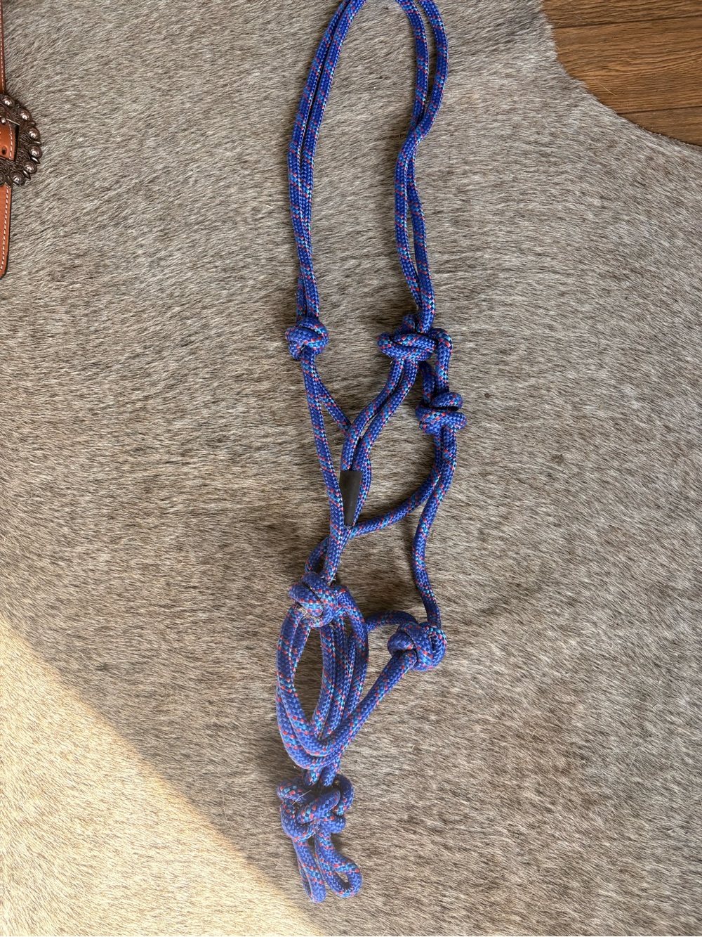 Blue Knotted Rope halter